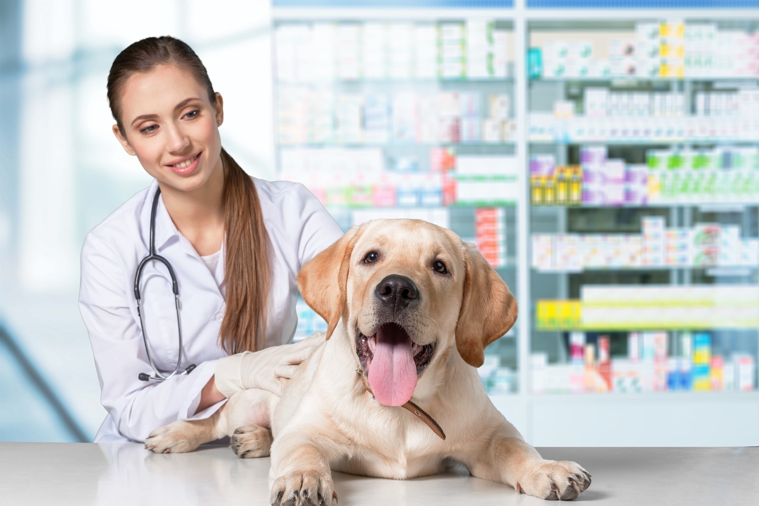 Veterinary Medicines